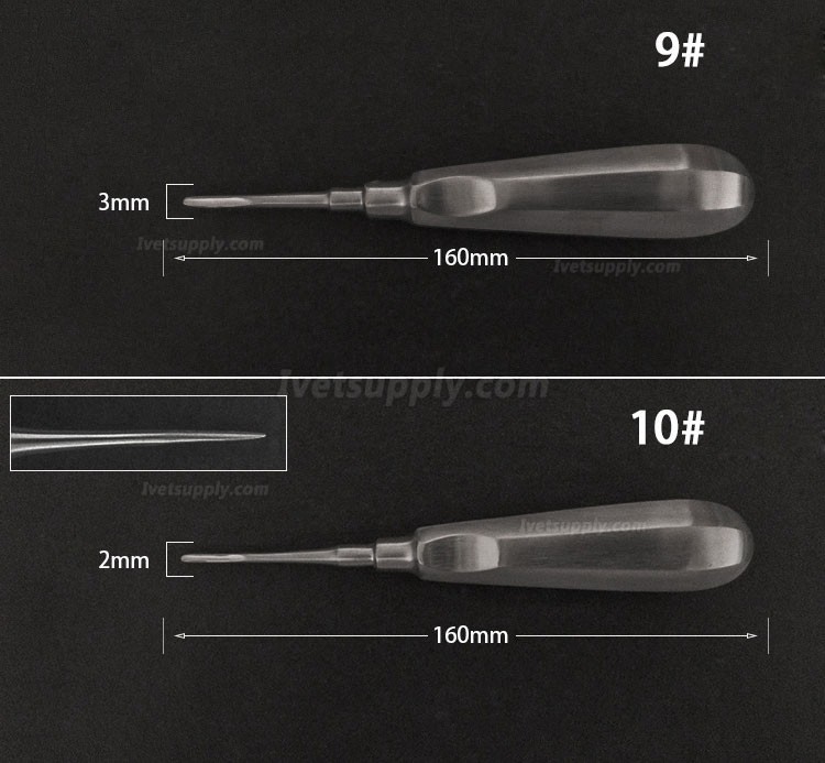 Veterinary Elevators Cat Dog Teeth Extraction Stainless Steel Minimally Invasive Elevators